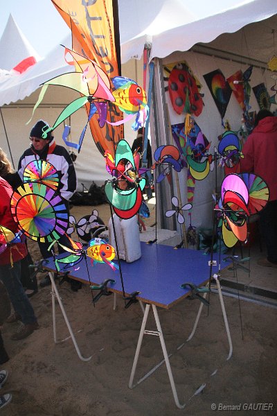 Festival Cerfs Volants Chatelaillon 2010_025.JPG